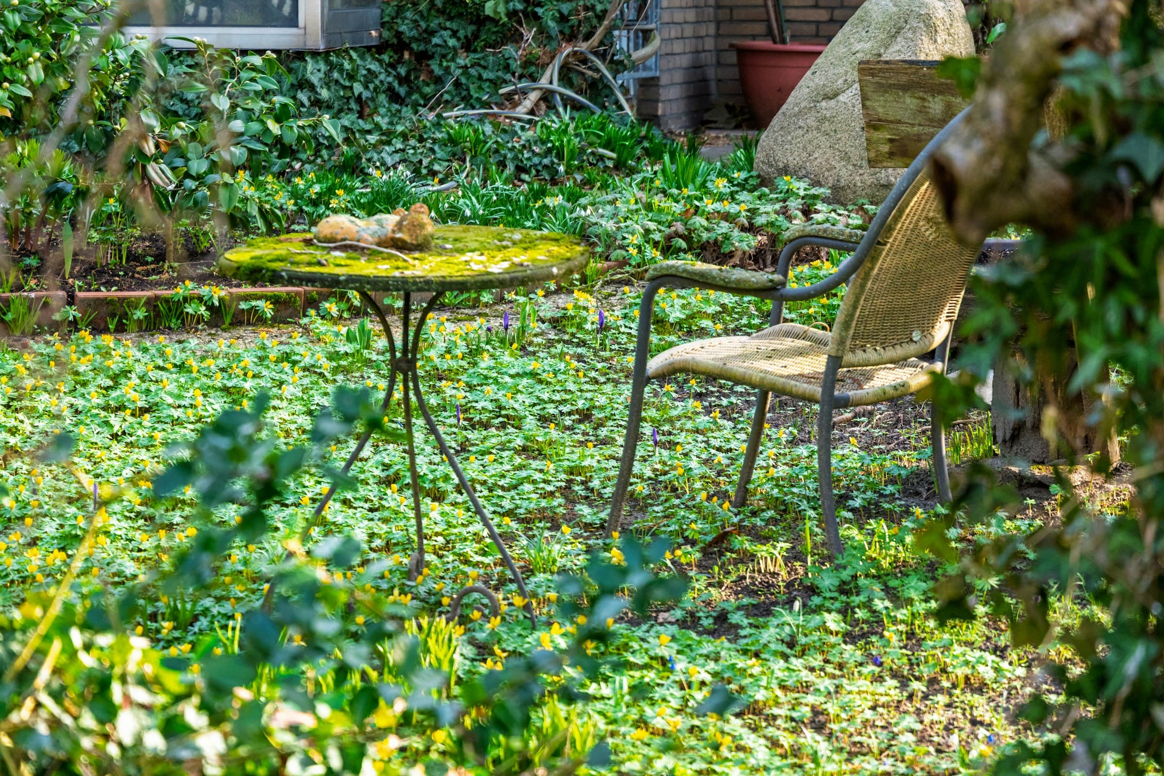 Metallstuhl und bemooster Tisch in einem Garten